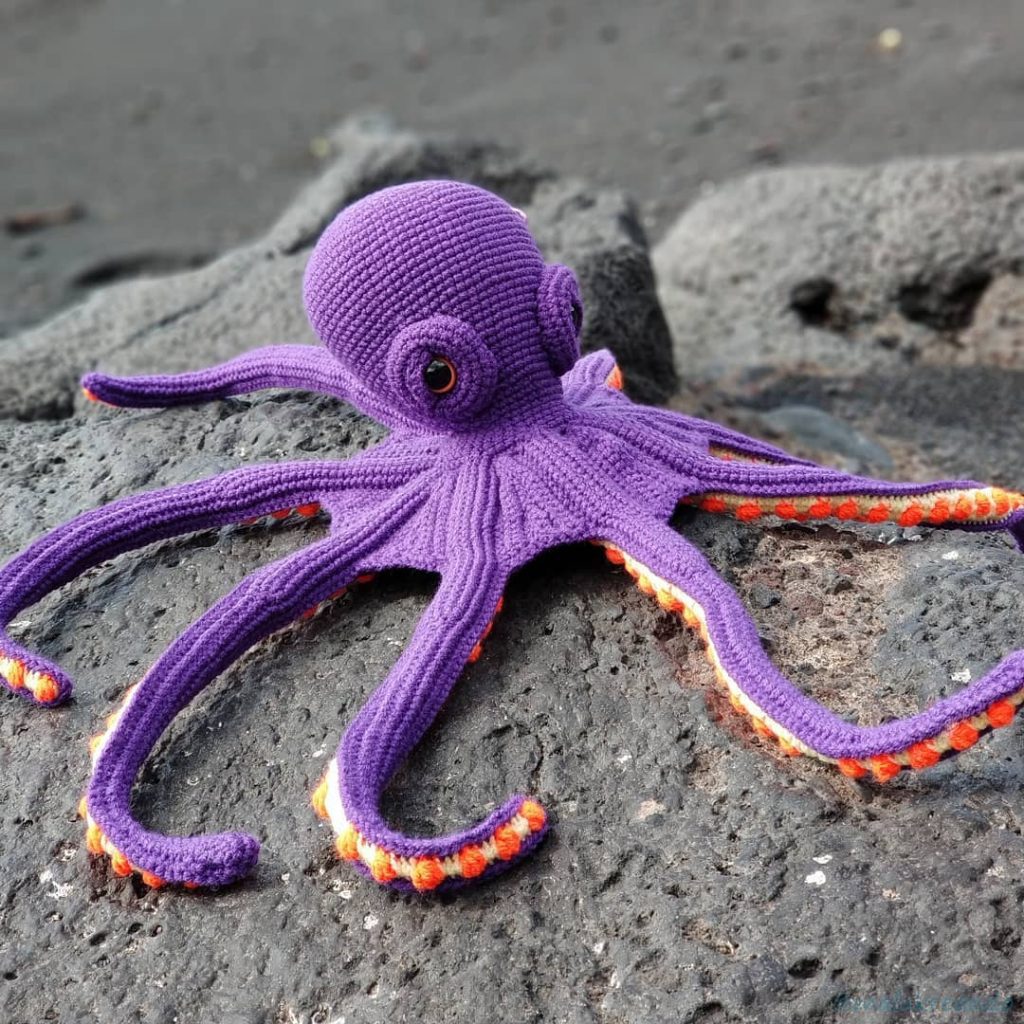 Amigurumi Octopus 17