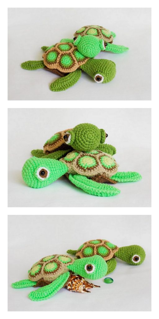 Cute Turtle 13