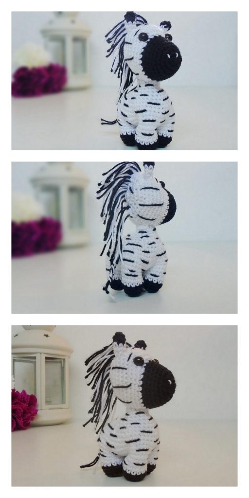 Zebra Unicorn 9