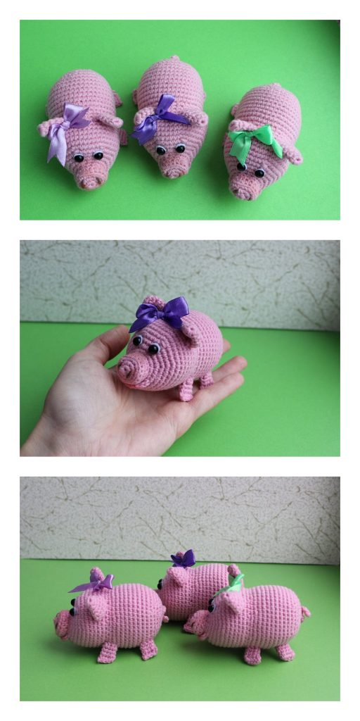 Small Pig 16