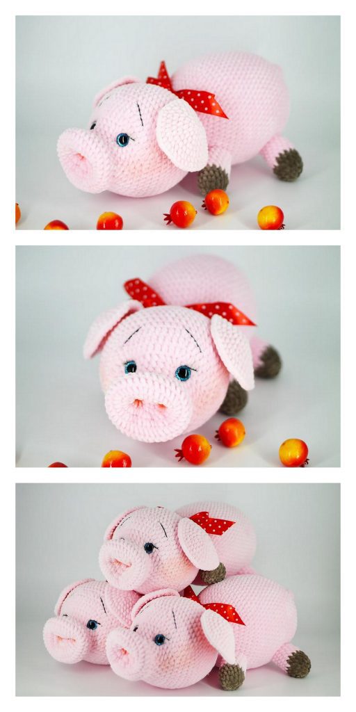 Cute Small Pig 5