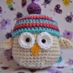 Amigurumi Owl in a Hat Free Pattern