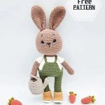 Amigurumi Bunny Doll Millio Free Pattern