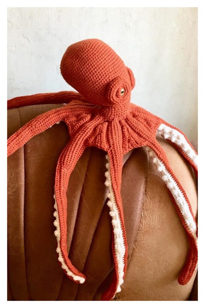 Octopus Crochet1 Min