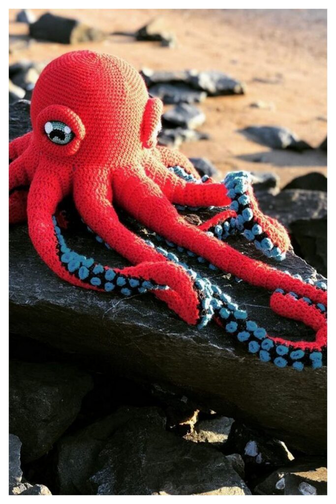 Octopus Crochet9 Min