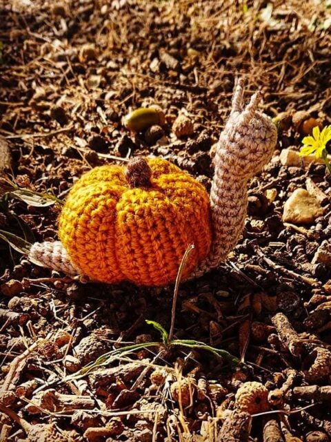 Pumpkin Snail