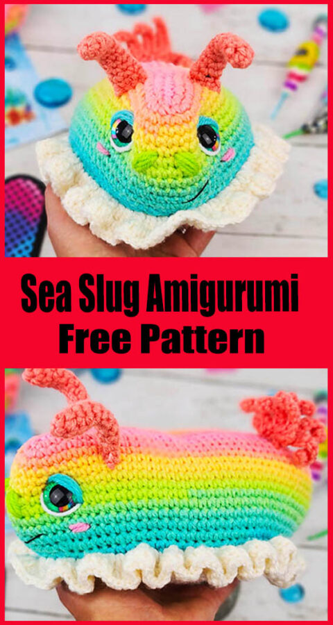 Amigurumi Rainbow Sea Slug Free Pattern-1