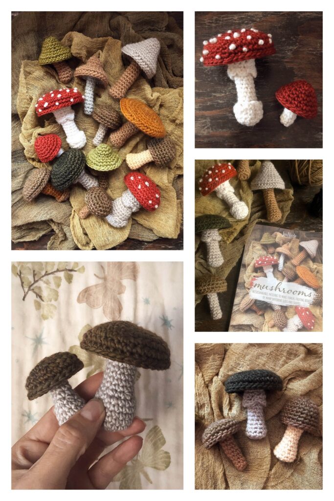 Crochet Mushroom 1 Min