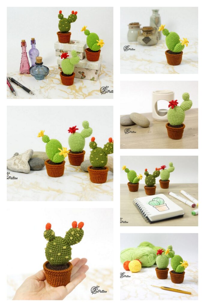 Little Christmas Cactus 5 Min