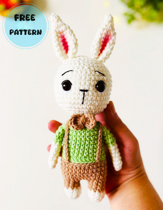 Amigurumi Bunny Jorge in Overalls Free Pattern-1