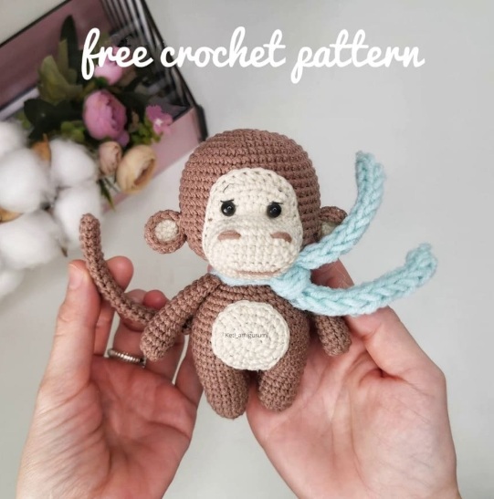Amigurumi Crochet Cute Monkey Free Pattern-1